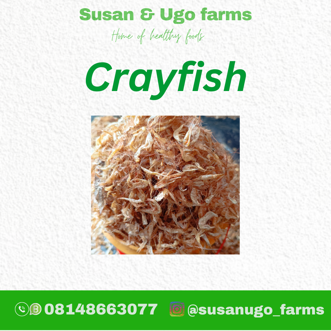 Susan Ugo Farms_20241228_224537_0000